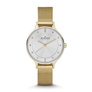SKAGEN skw2150 women’s Anita watch